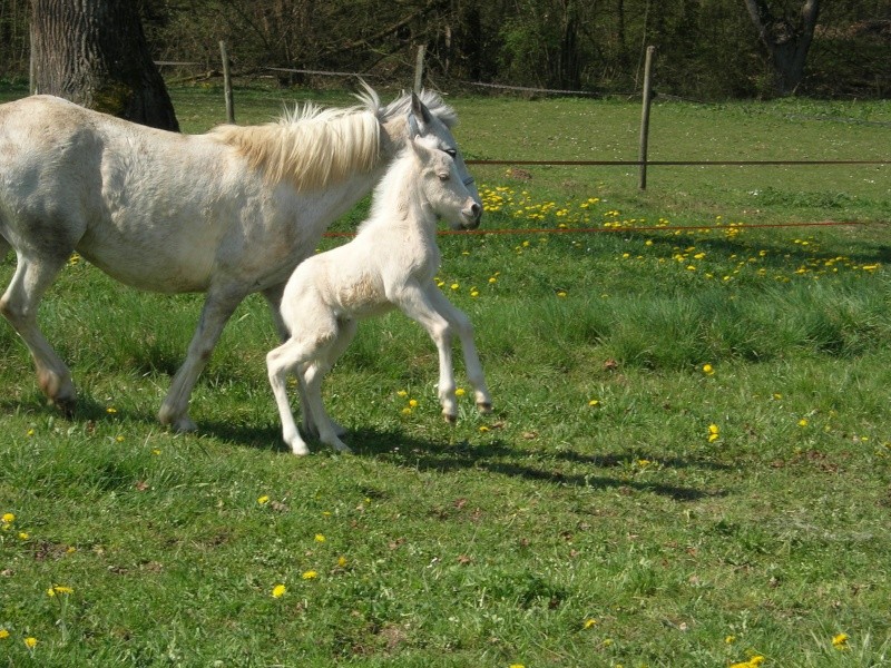 vos plus belle photo Photo_12