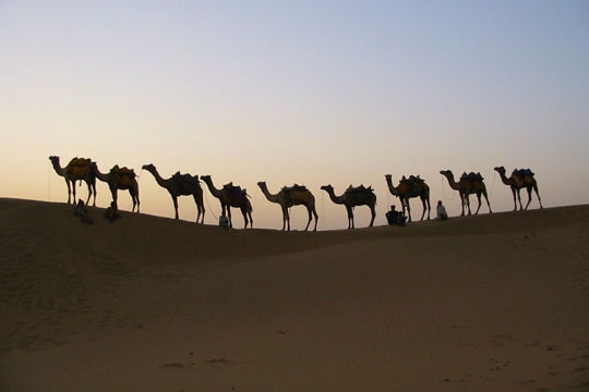 Voyager > Les merveilles du monde by night Desert10