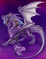 Dragons Dragon13
