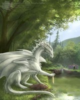 Dragons Dragon17