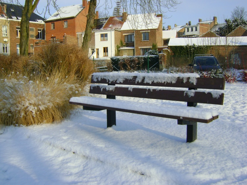 De la neige pour les prochains jours et durant cet hiver. Dsc05112