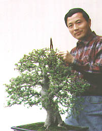 Mr. Qingquan Zha Author10