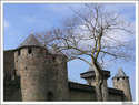 La cité de Carcassonne P1000312