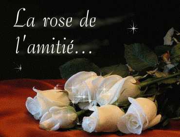 lundi 16 juillet 08053110