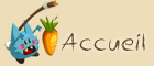 Accueil