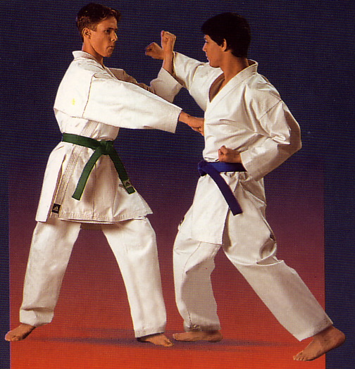 les arts martiaux Karate10