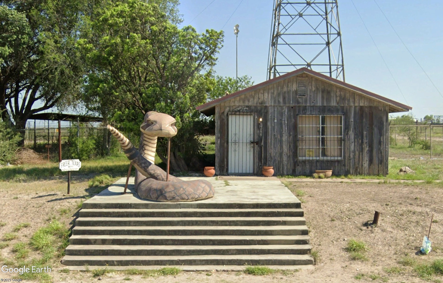 Crotale géant à Freer, Texas - États-Unis Tsge3923