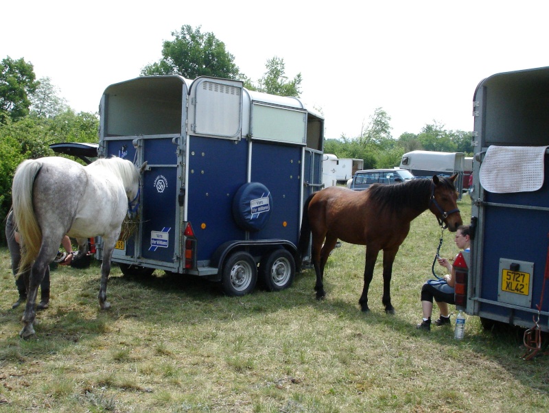 achete poneys pour club, toutes taille - Page 2 Dsc01210