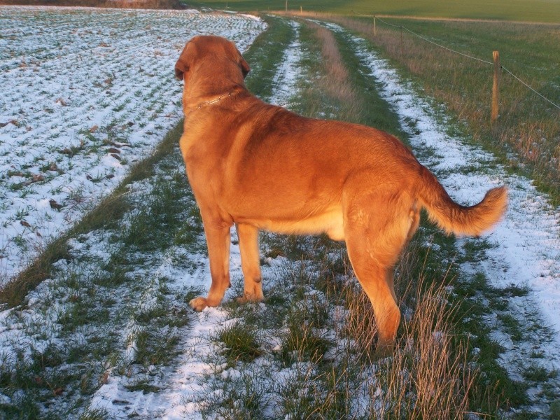 la neige dans l' ouest 100_6925