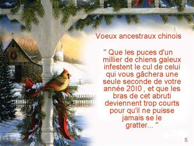 BONNE ANNEE 2010 !!! Voeux210