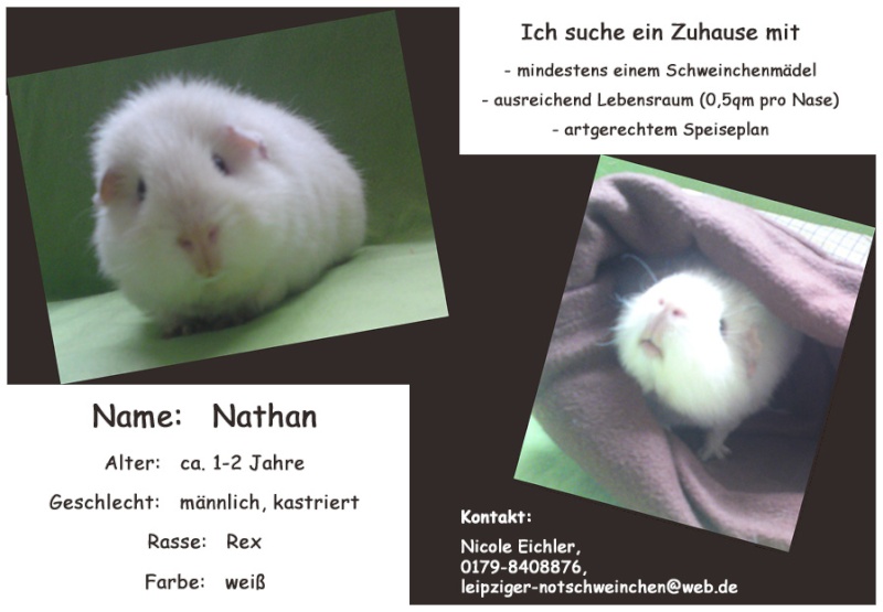 Nathan, 1-2 Jahre aus Leipzig sucht Nathan10