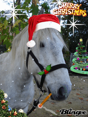 CONCOURS PHOTOS: Les chevaux et Noël...Venez voter... 53986910