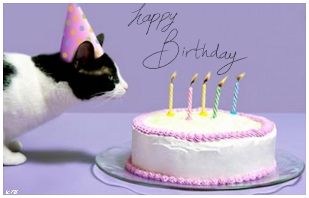 Anniversaire Du Jour Joyeux Anniversaire Patricia 10 Cartes Anniversaire Prenom Patricia 123cartes Anniversaire Du Jour Joyeux Anniversaire Patricia 10 Cartes Anniversaire Prenom Patricia 123cartes