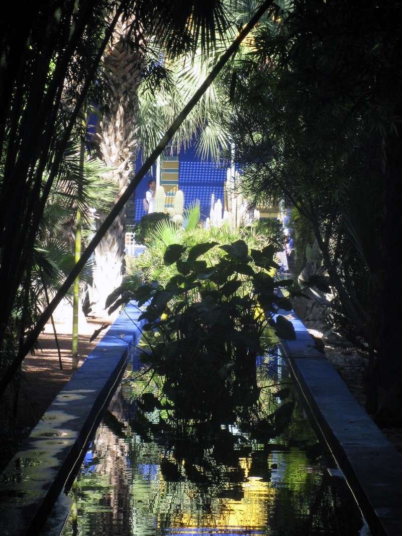 Le jardin Majorelle, Marrakech Img_4815