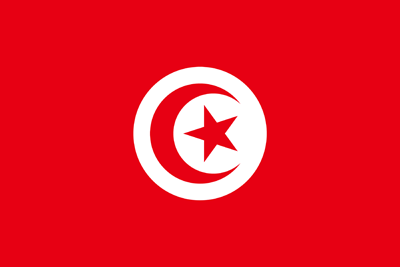 أعلام بعض البلدان العربية والاسلامية وسبب اختيارها Flag-412