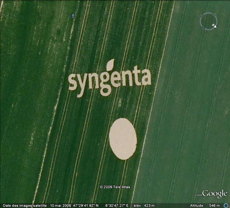 Ecriture Syngenta - Suisse Ge_pub10