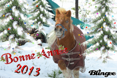 Au revoir 2012  et bonne année 2013.... - Page 2 79384111