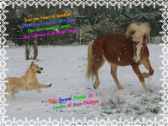 Cabry : des poneys dans le Nord-Isère - Page 8 Image110