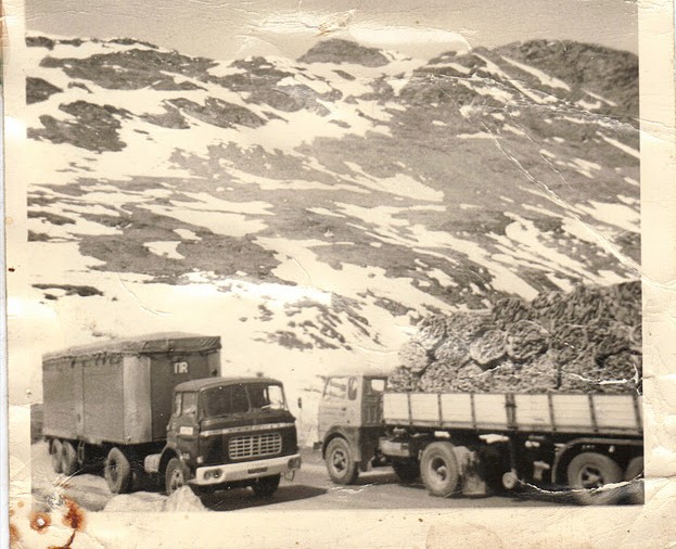 Des photos de camions bétaillères à moutons et d'autres photos de camions aussi conduit par Henry Elie . - Page 3 Copie_11