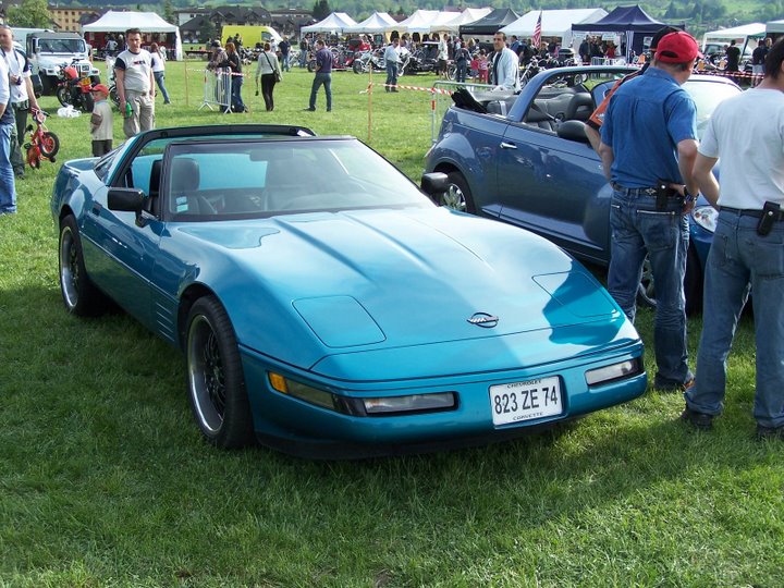 Corvette dans le Nord - Finstère - Page 2 100_2810