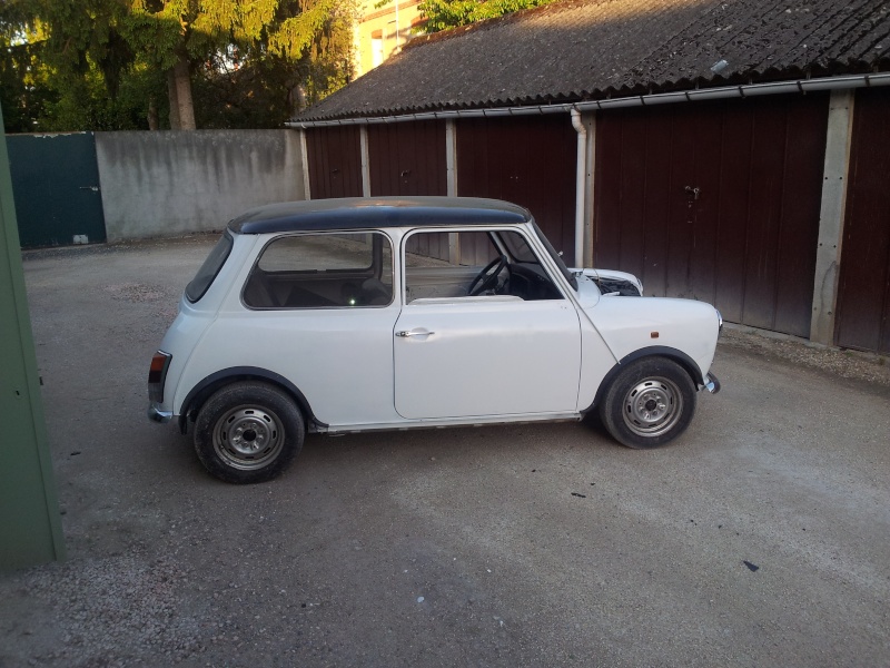 mini austin special 1988 38410