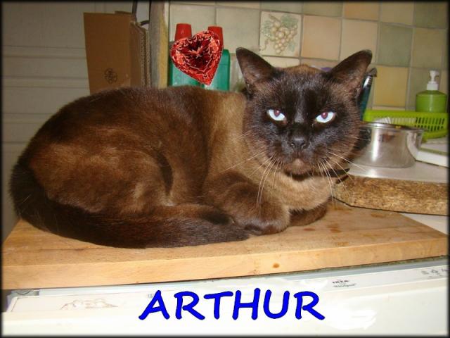 Parrainez Arthur (16,50€) : DISPARU don restant 16,50€ (LAROSE ARKO  DOUDOUDEGENEVE  VALGRI) Arthur11