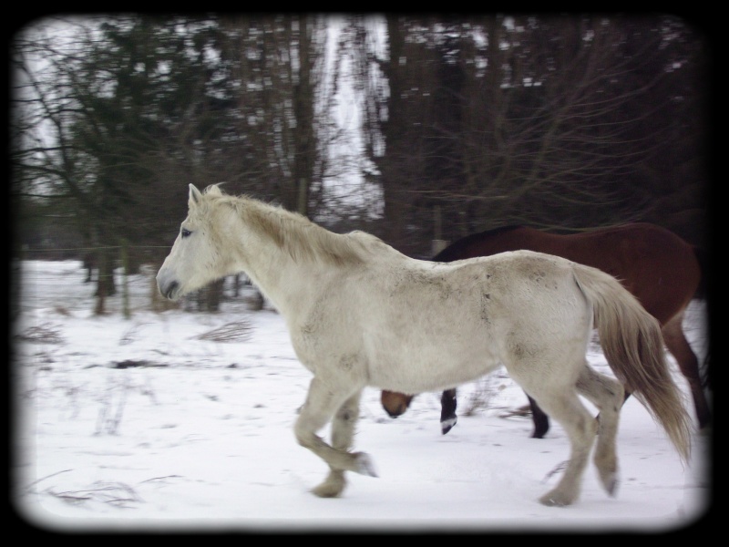 De la neige, encore de la neige Neige_18