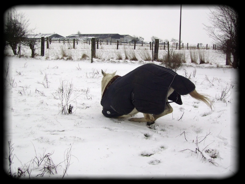 De la neige, encore de la neige Neige_20