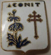 * ACONIT (1941/1947)  Corvet13