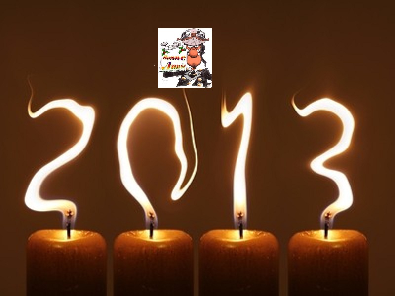 BONNE ANNEE 2013 !!! Bonne_11