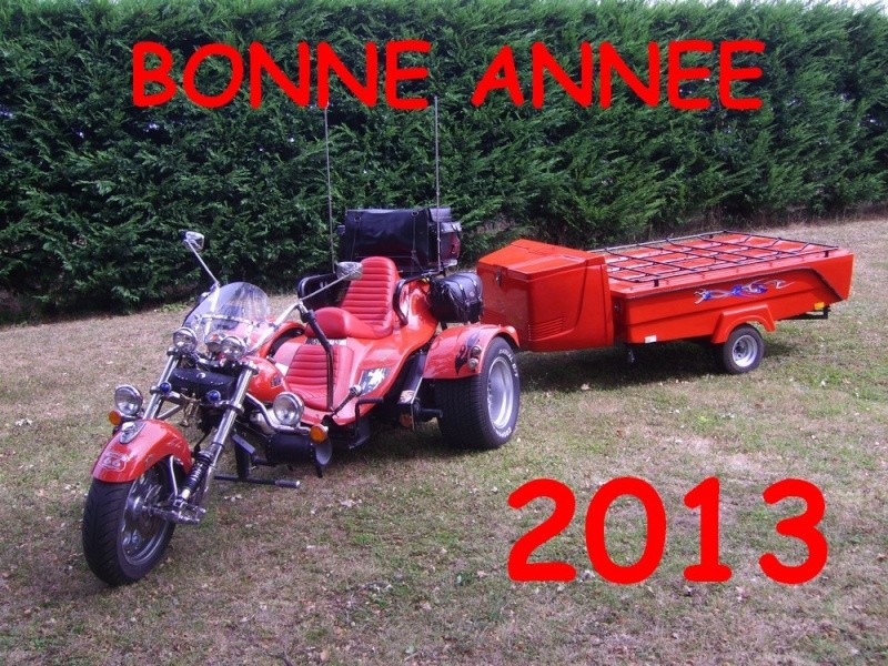 MEILLEURS VOEUX POUR CETTE NOUVELLE ANNEE 2013 !!! 201310