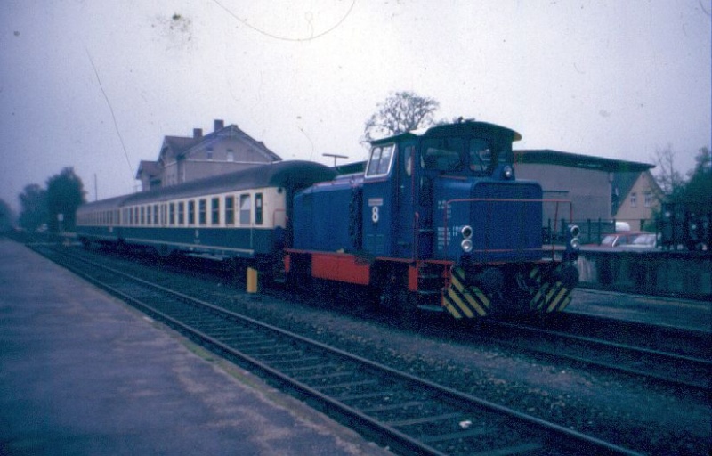 Wolff Walsrode Lok 8 in Walsrode Wolf_w10