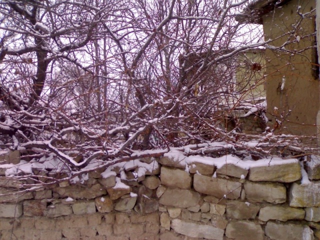 BEŞBIÇAK KÖYÜ FOTOĞRAFLARI 28122016