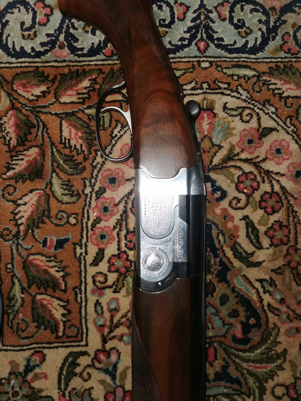 Beretta S686 spécial Img_2013