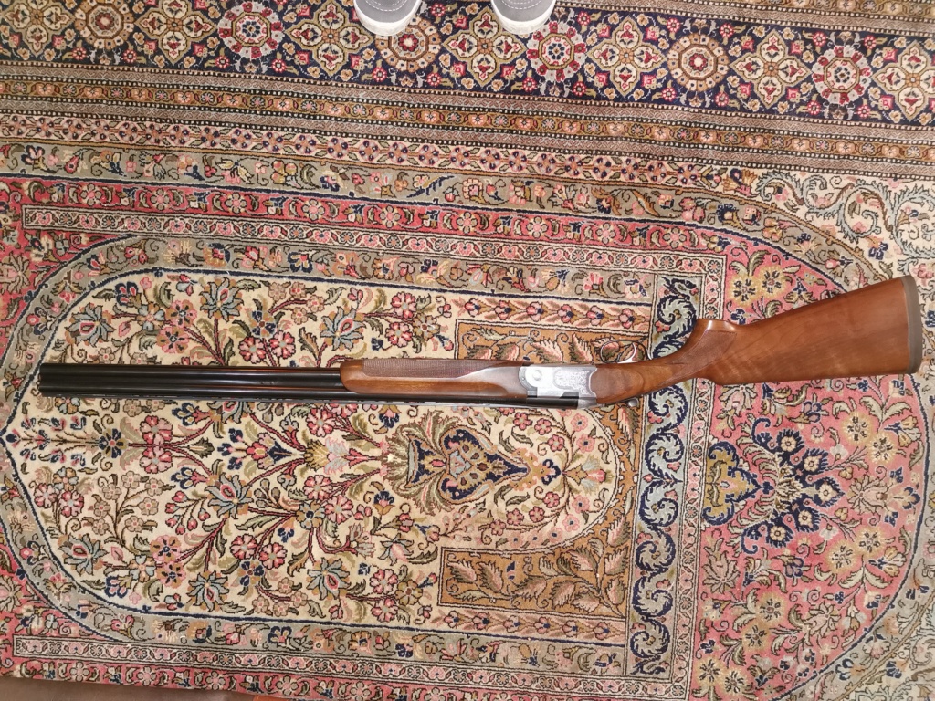 Beretta S686 spécial Img_2014