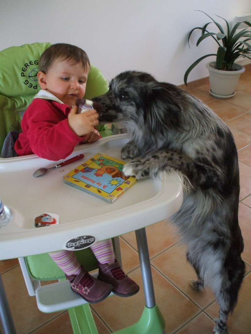 concours photo JANVIER: Meilleurs copains ( best friends) Adourl10