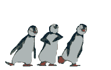 la fete a pingouin c est aujourd hui  Animau10