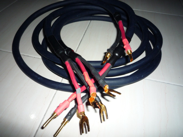 Audioquest Midnight Hyperlitz Speaker Cable (Used) SOLD P1020118