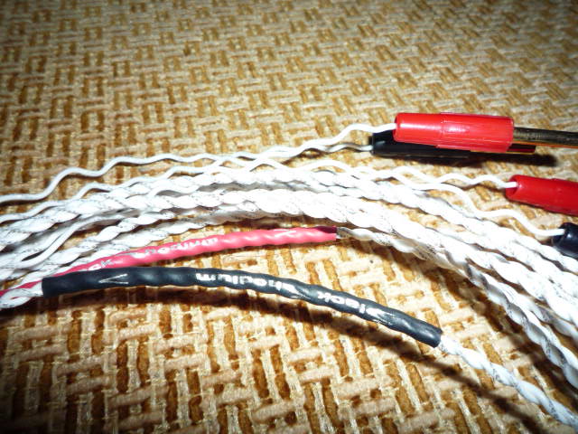 Black Rhodium Diva speaker cable (Used)SOLD P1020129