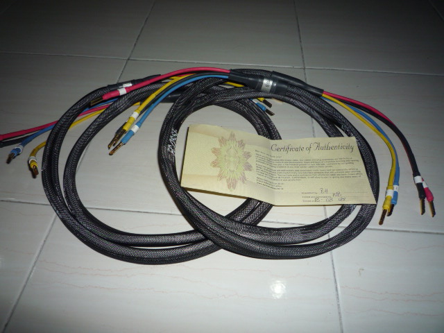 Ecosse ES 4.45 Speaker Cable (Used) SOLD P1020210