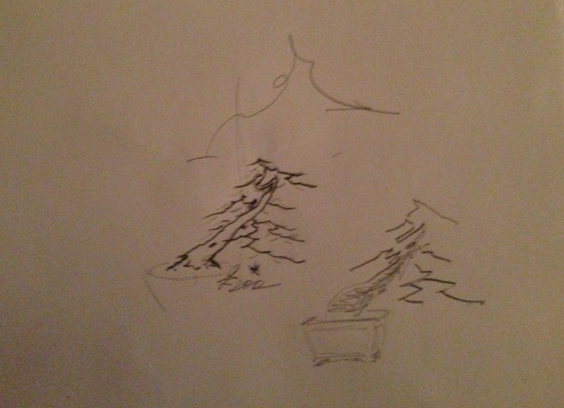 Larch - crown three elements (first styling) C10