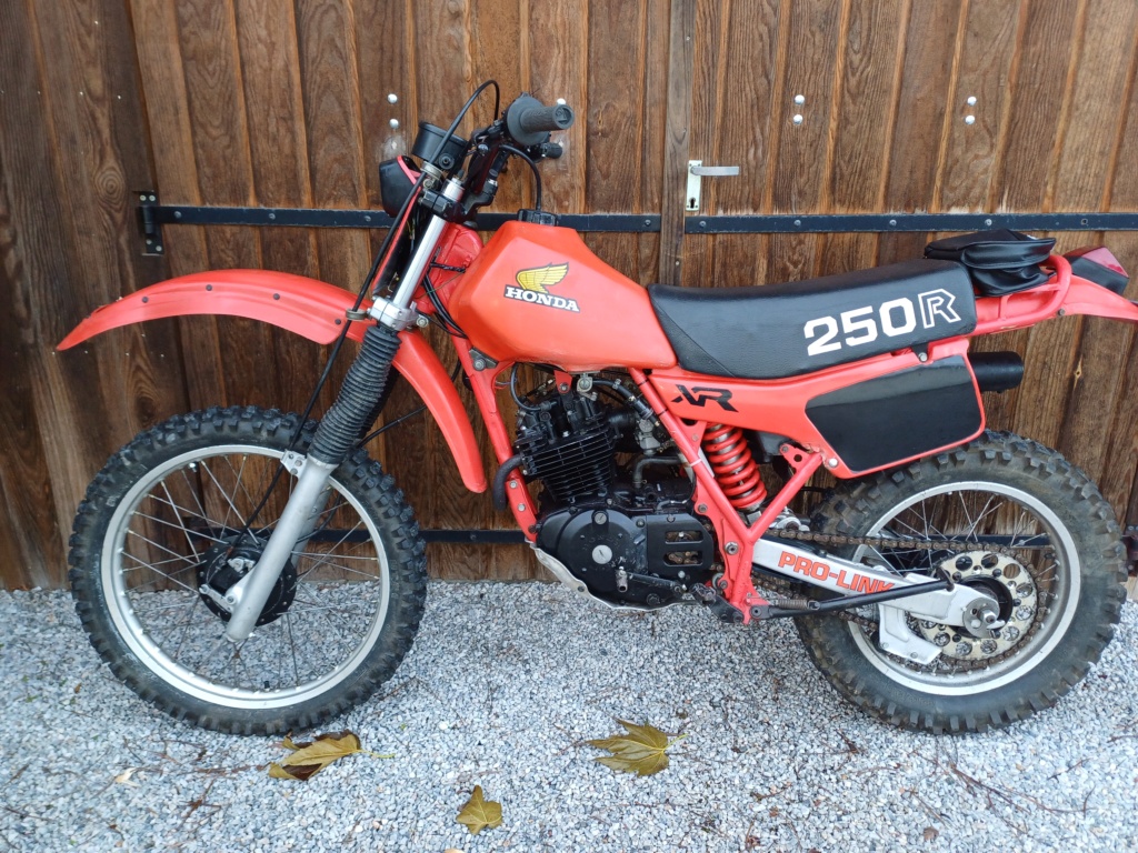 HONDA XR 250 R 1981 avec carte grise (Vendu) 20231210