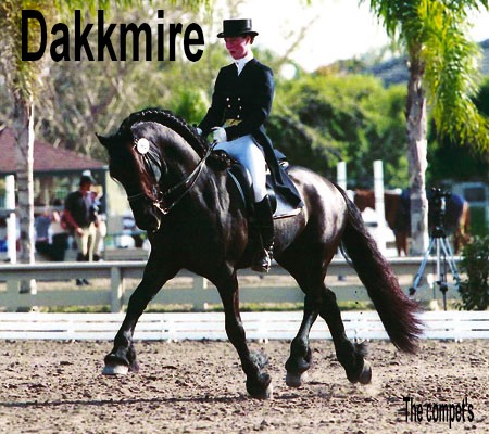 Dakkmire-Frison-Hongre Page2110