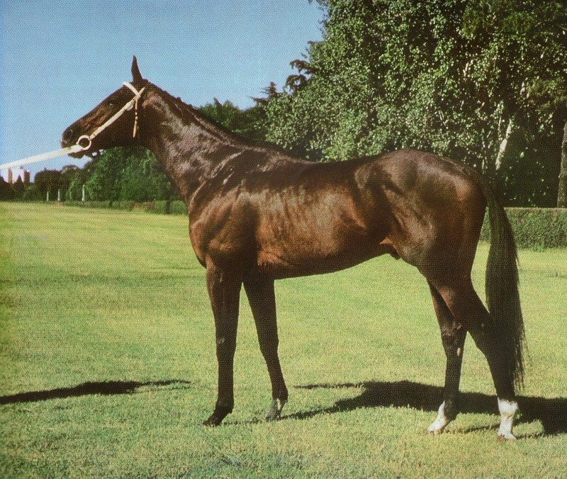 REVISTA JOCKEY CLUB - Marzo 1969 N° 10 Img11610