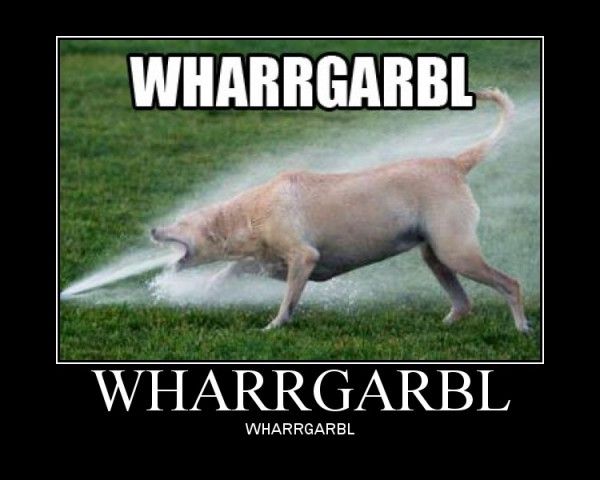 almost died with laughter xD Wharrg10