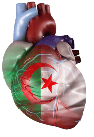 ╠═ Equipe nationale Algérienne ═╣ - Page 8 9o9i-110