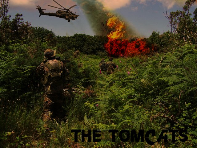 Team Airsoft The Tomcats - Portail Avanca11