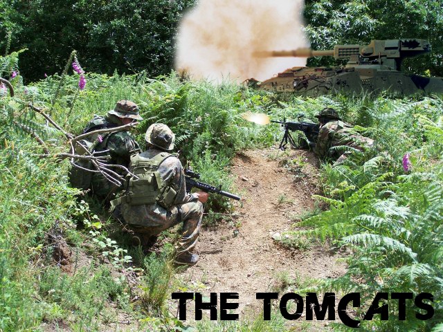 Team Airsoft The Tomcats - Portail Soutie10