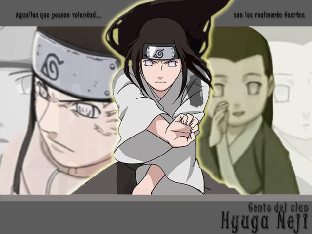 Naruto : la présentation des personnages Neji_h10