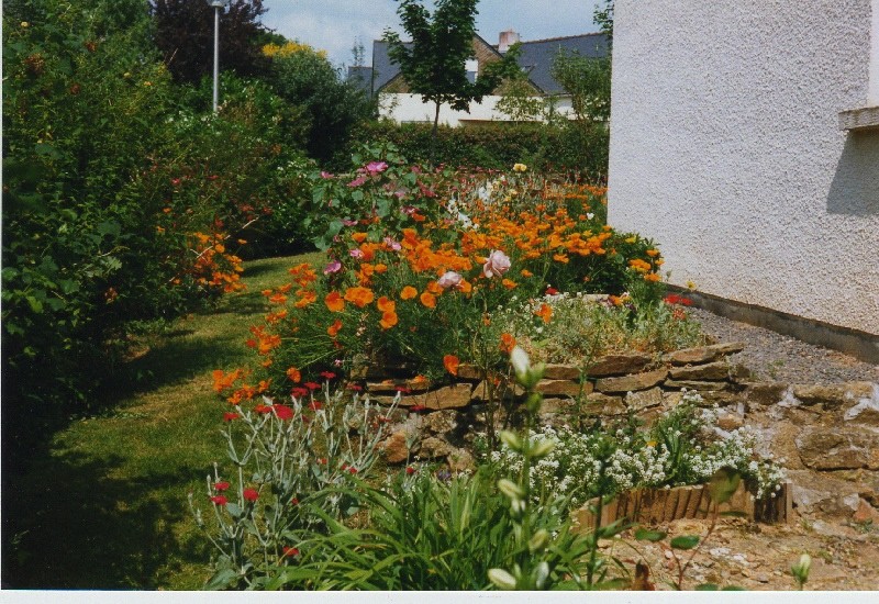 Ancien jardin de Pascalane (photos promises à Mango) Ds_fil15